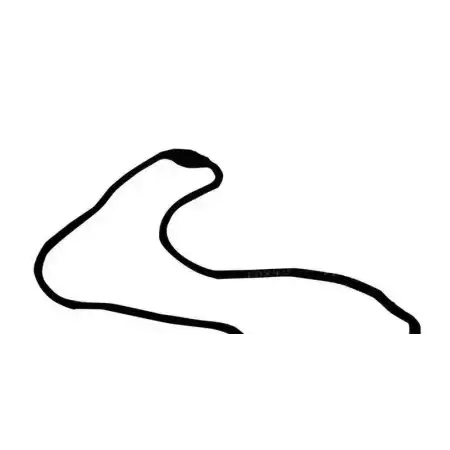 CORREA GENERICA PARA SILBATO